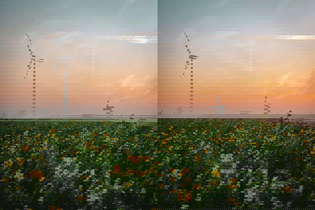 Windmill and windturbine in Dutch landscape