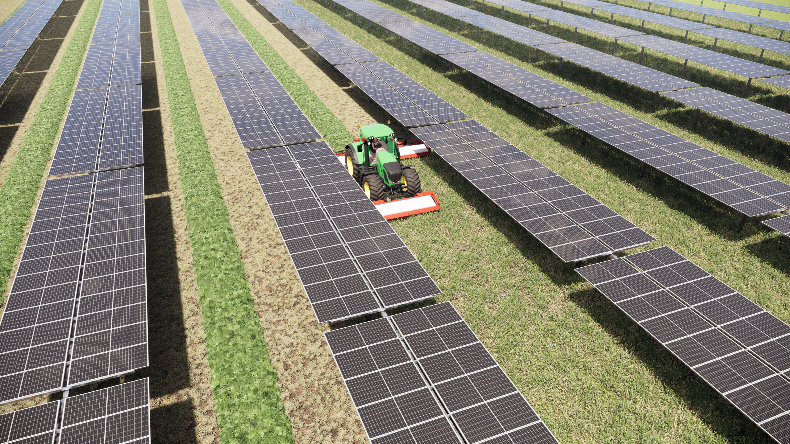 Statkraft zonnepark agri-PV boer